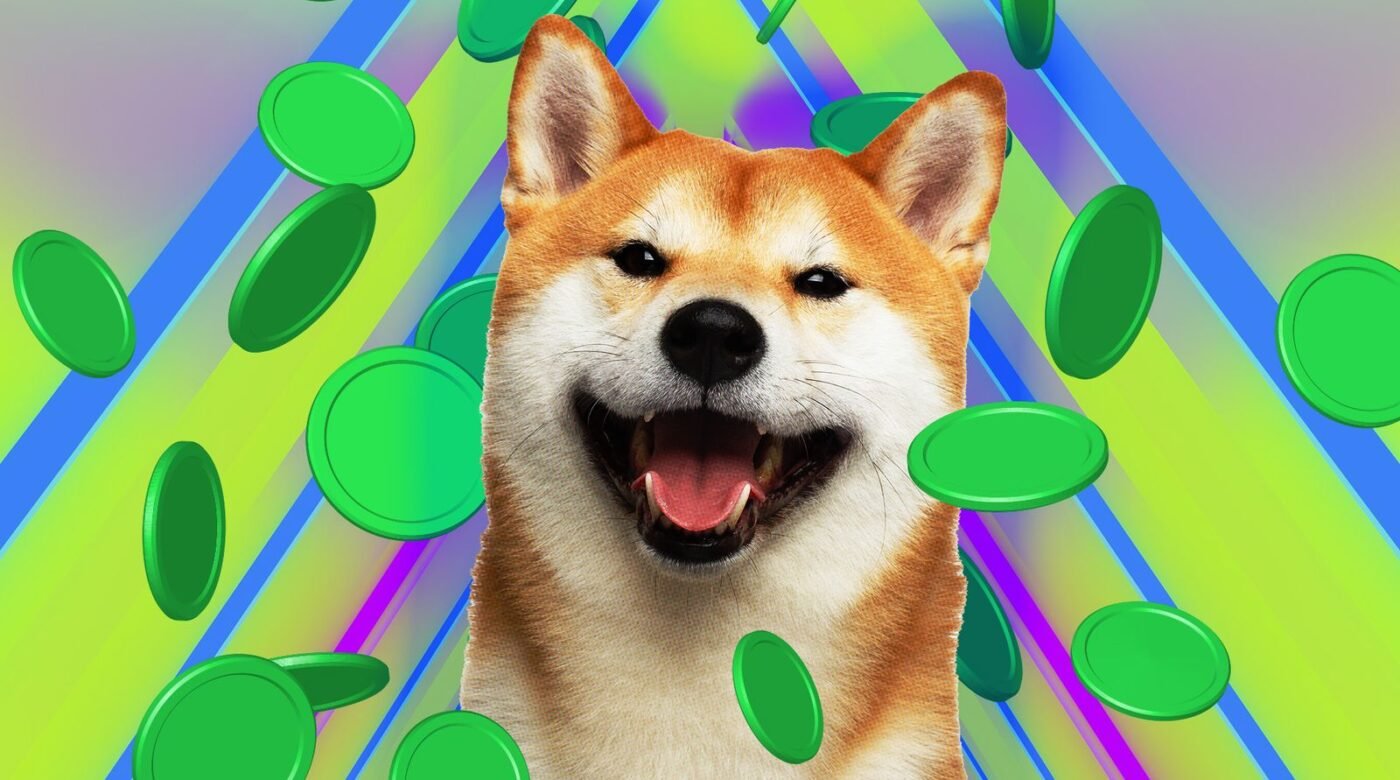 20210511_DOGE-SHIBA-SHIB-coin-2