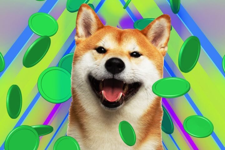 20210511_DOGE-SHIBA-SHIB-coin-2