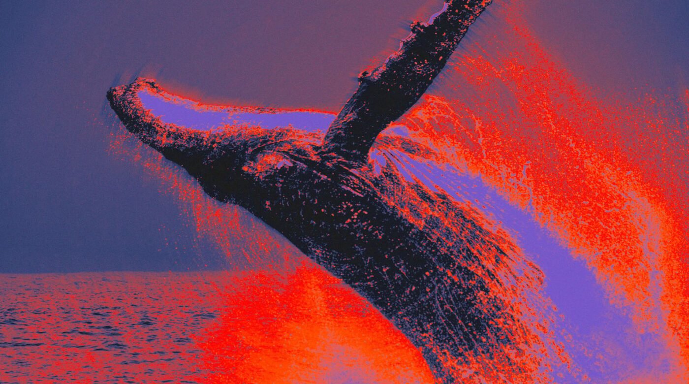 20250917_Whale_News_2