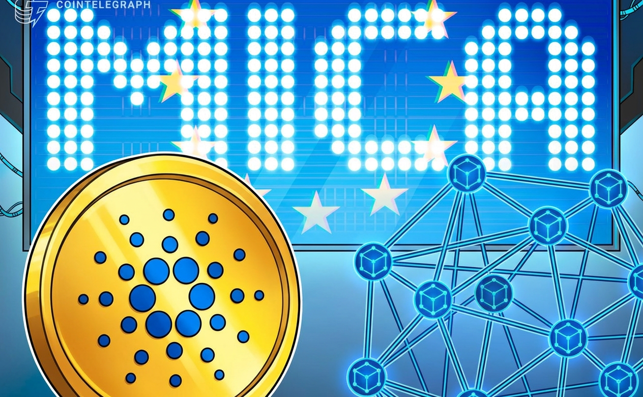 hi-heres-what-you-pay-for-using-crypto-mica-eu
