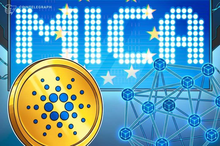 hi-heres-what-you-pay-for-using-crypto-mica-eu